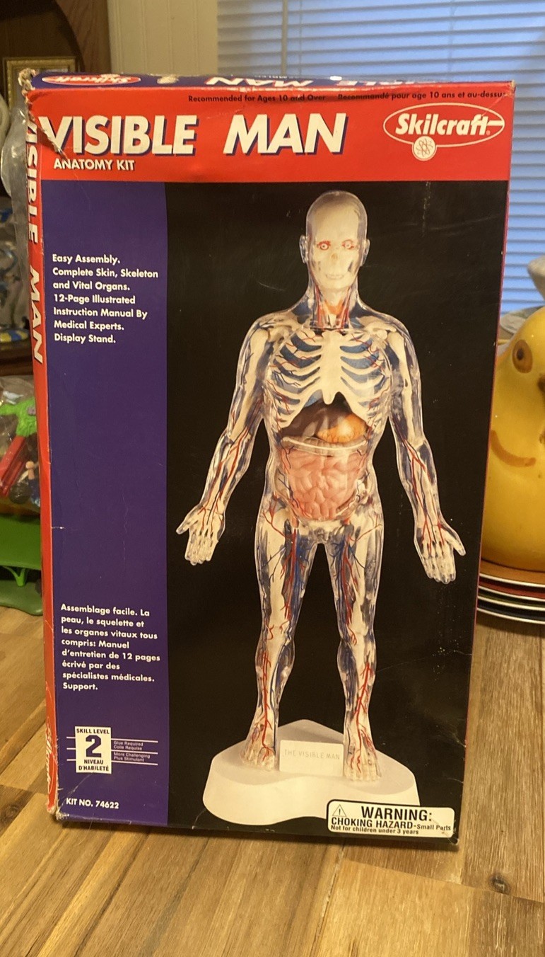 New In Box Skilcraft Visible Man Anatomy Kit Level 2 Made in USA Model 74622