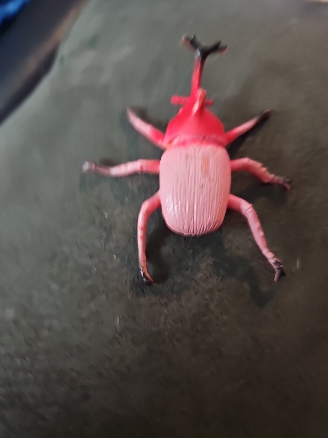 Creepy Crawley Bug Red/ Pink 3 In x2.5 x1