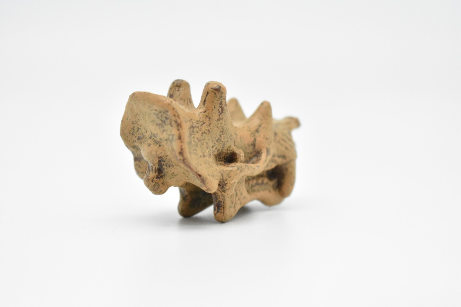 Uintatherium, Fossil Skull Toy, Realistic Plastic Reproduction 2″ F3523 B204