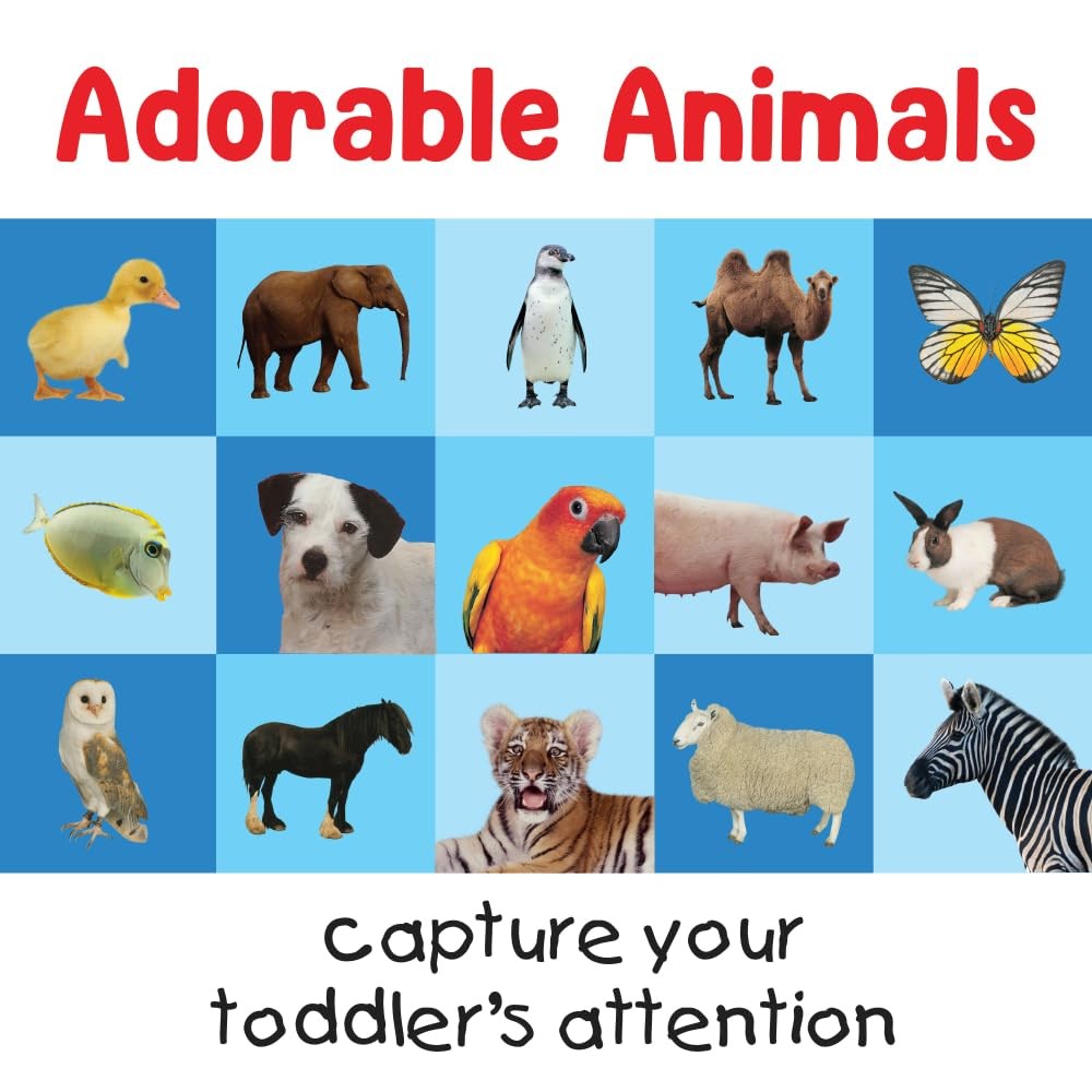 First 100 Animals Matching Card Game Preschool Learning Memory Game Kids