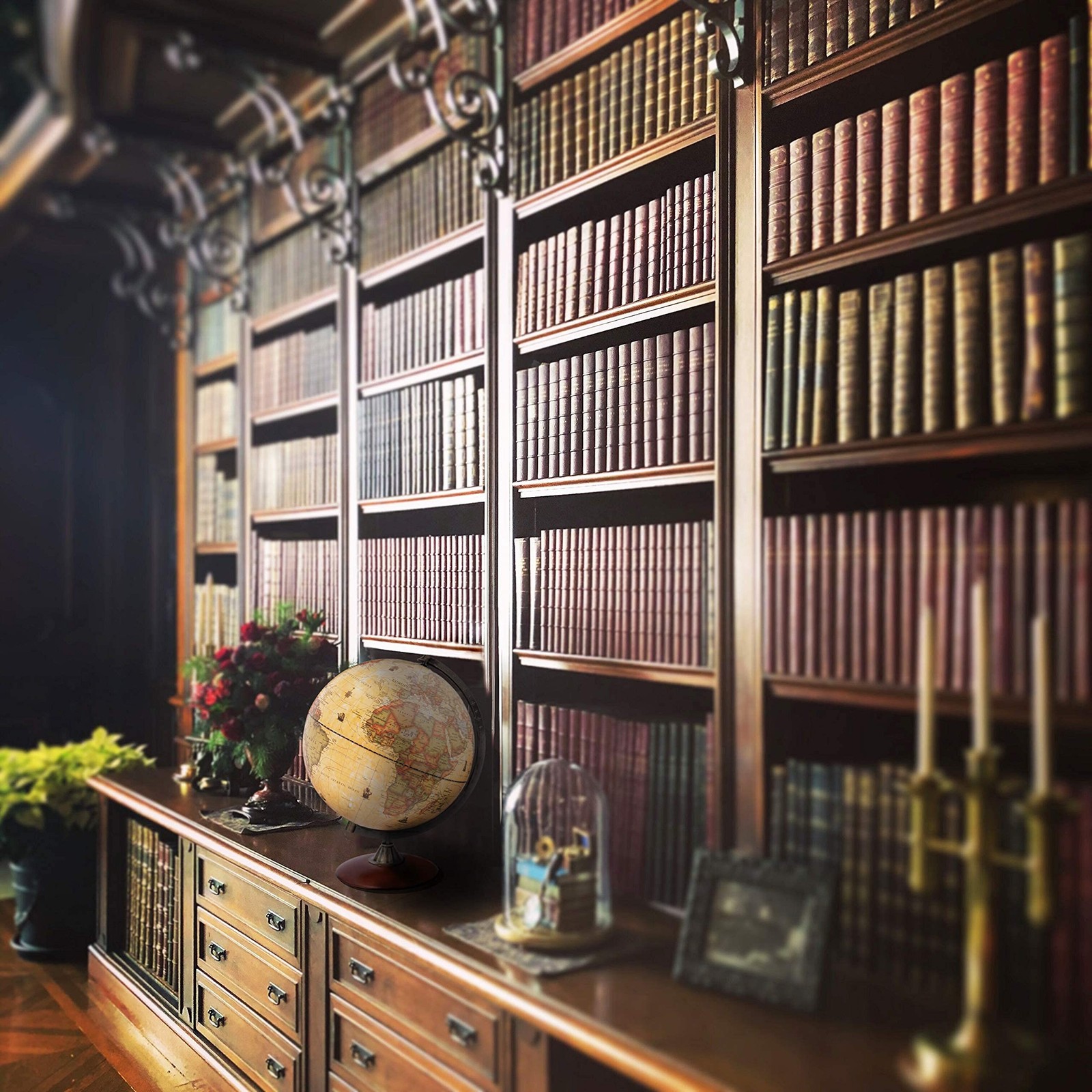 Exerz 12″ Antique Globe With a Wood Base – Rotating World Globe – Modern Map …
