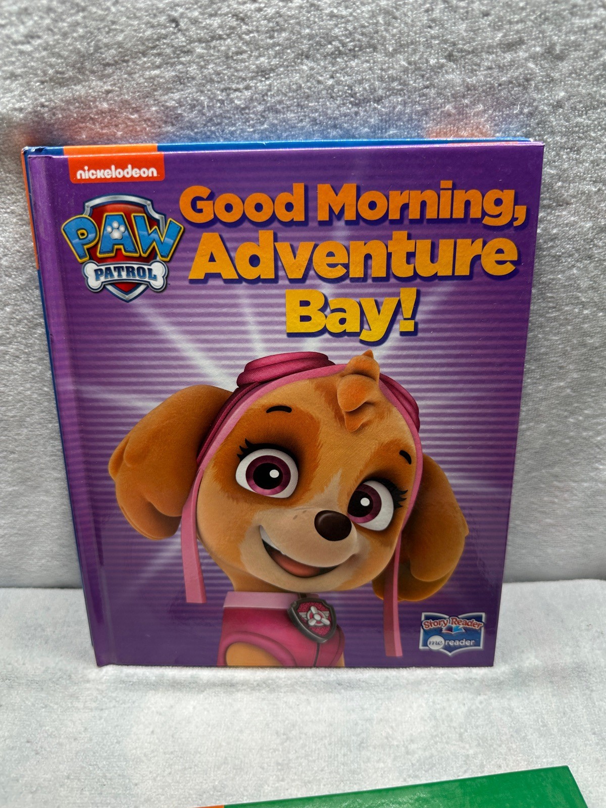 3 Nickelodeon Paw Patrol Badge Book Tools For Every Job Adventure Day Used Books