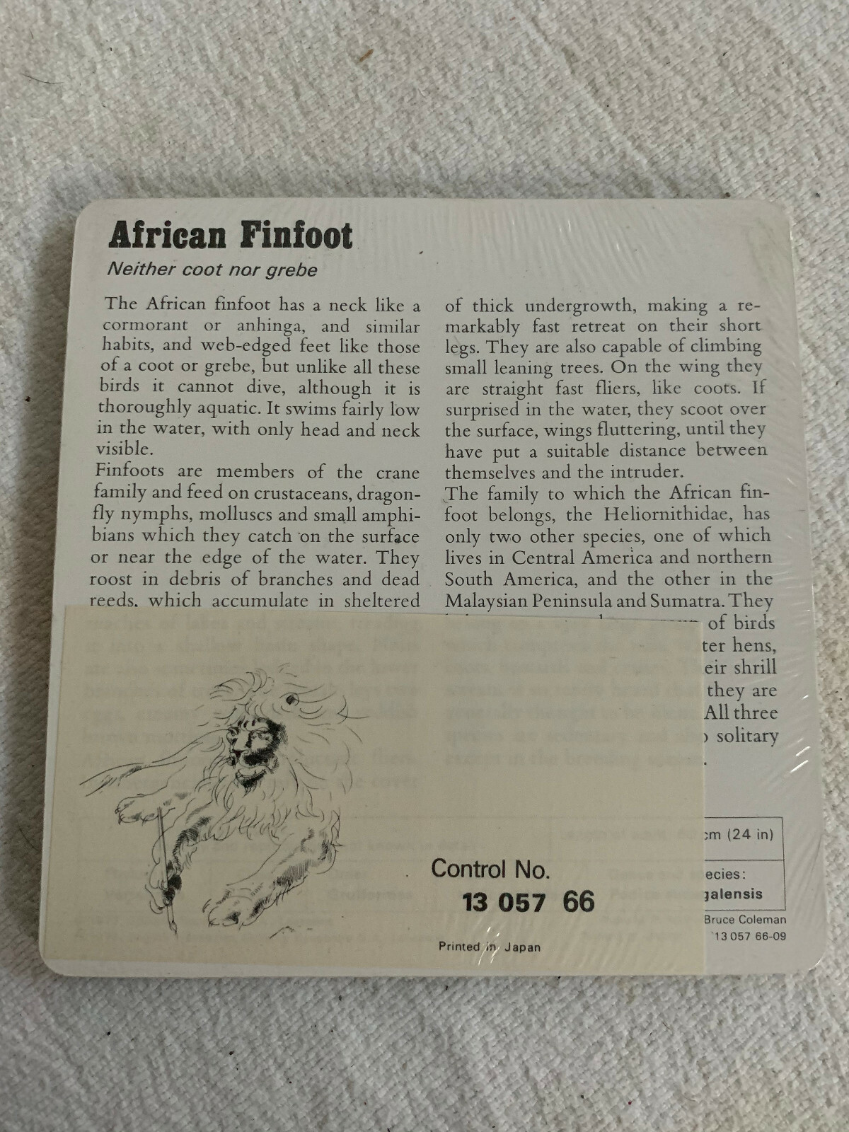1977 Editions Rencontre S.A. Lausanne Animal Flash Cards Green Damselfly 24-pack