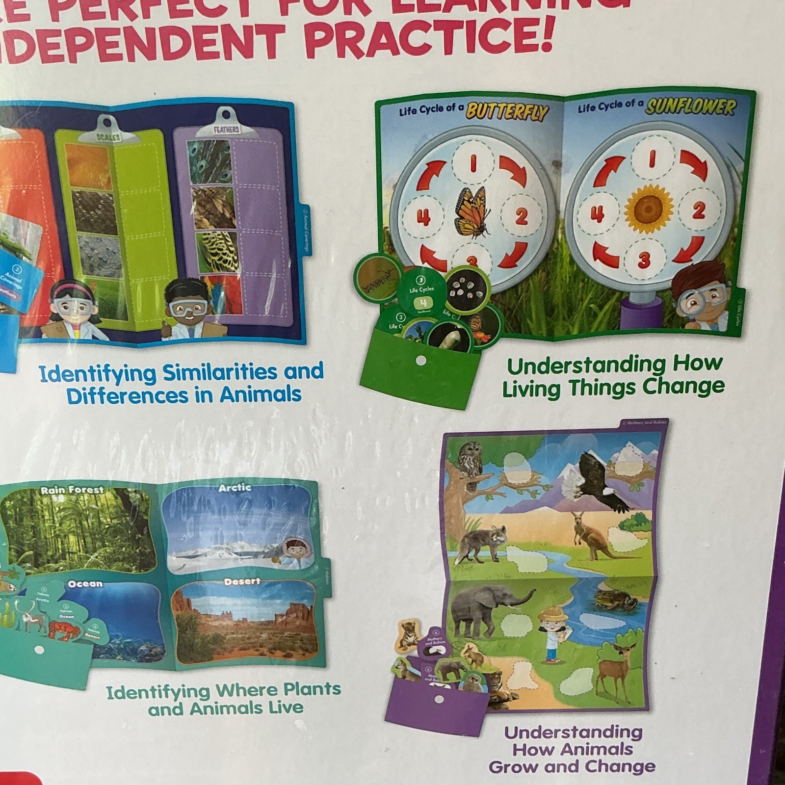 Lakeshore Life Science Folder Games Educational Activity Set PP573 Ages 4+
