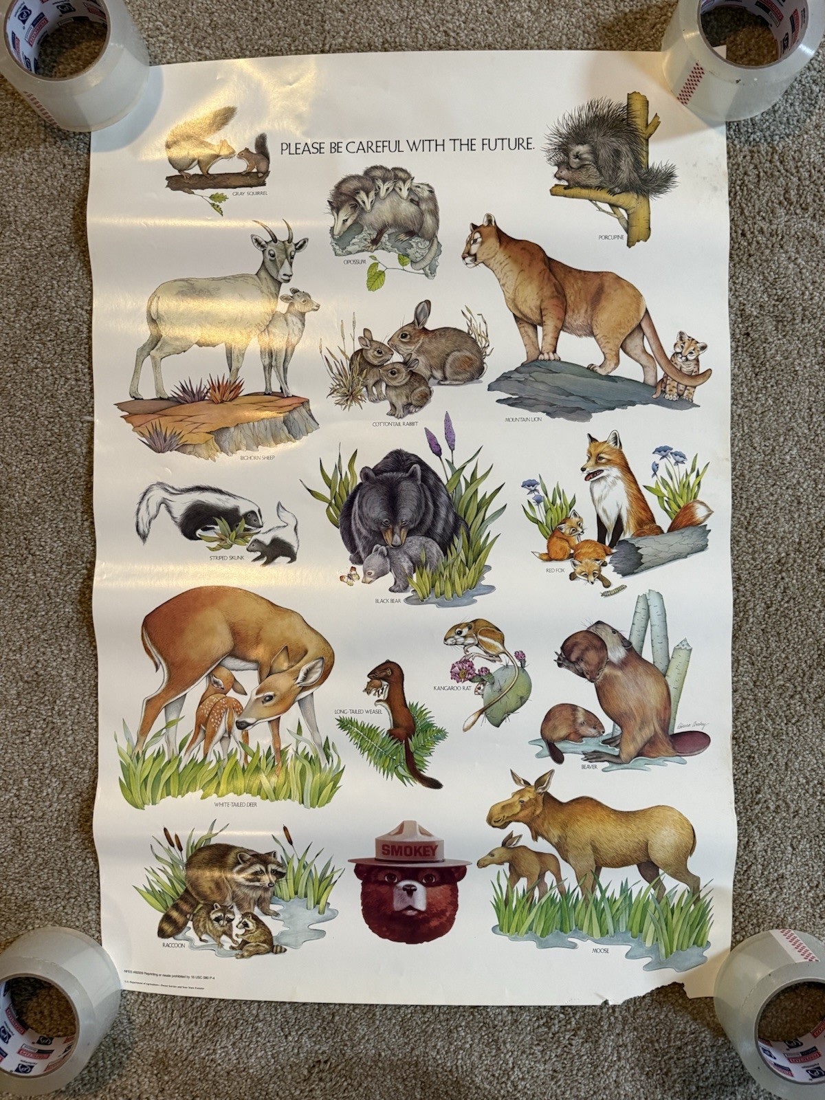 VTG Please Be Careful With The Future Animal Species Smokey The Bear Poster