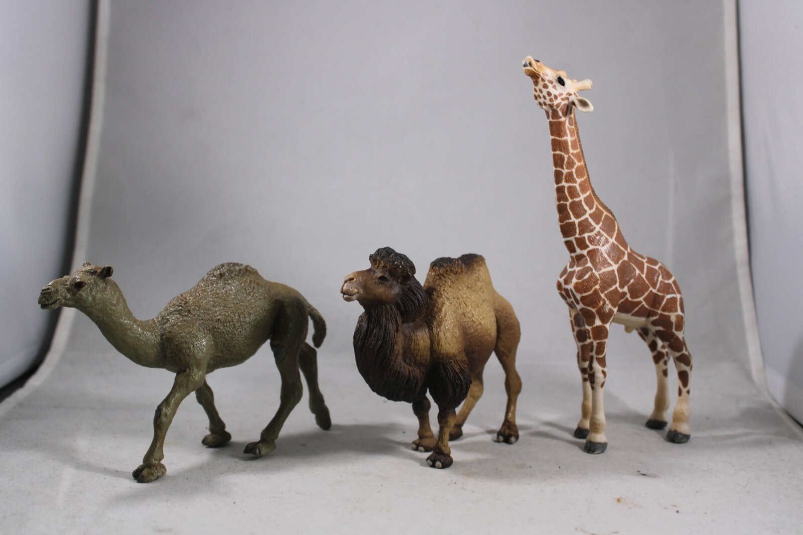 DROMEDARY Bactrain CAMEL Animal Figurine Safari Ltd. toy Figure Giraffe
