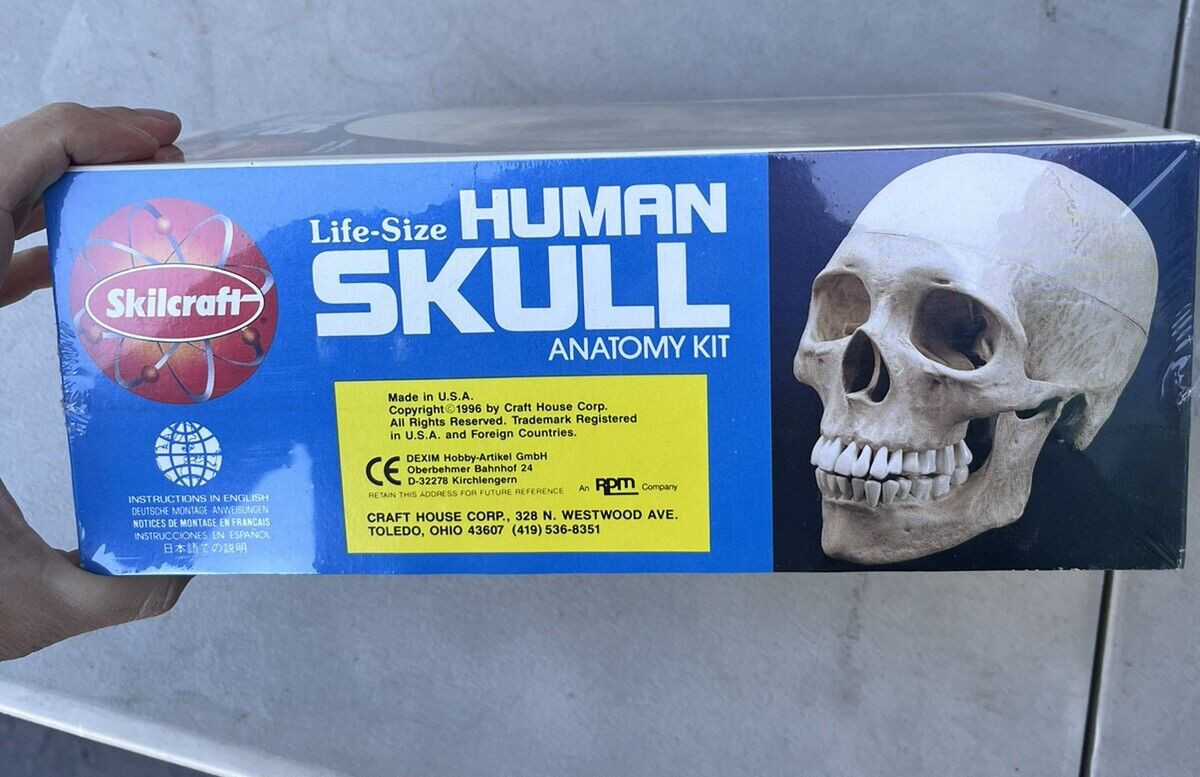 NEW 1996 Vintage Skilcraft Life-Size Human Skull Anatomy Model Kit No. 74625