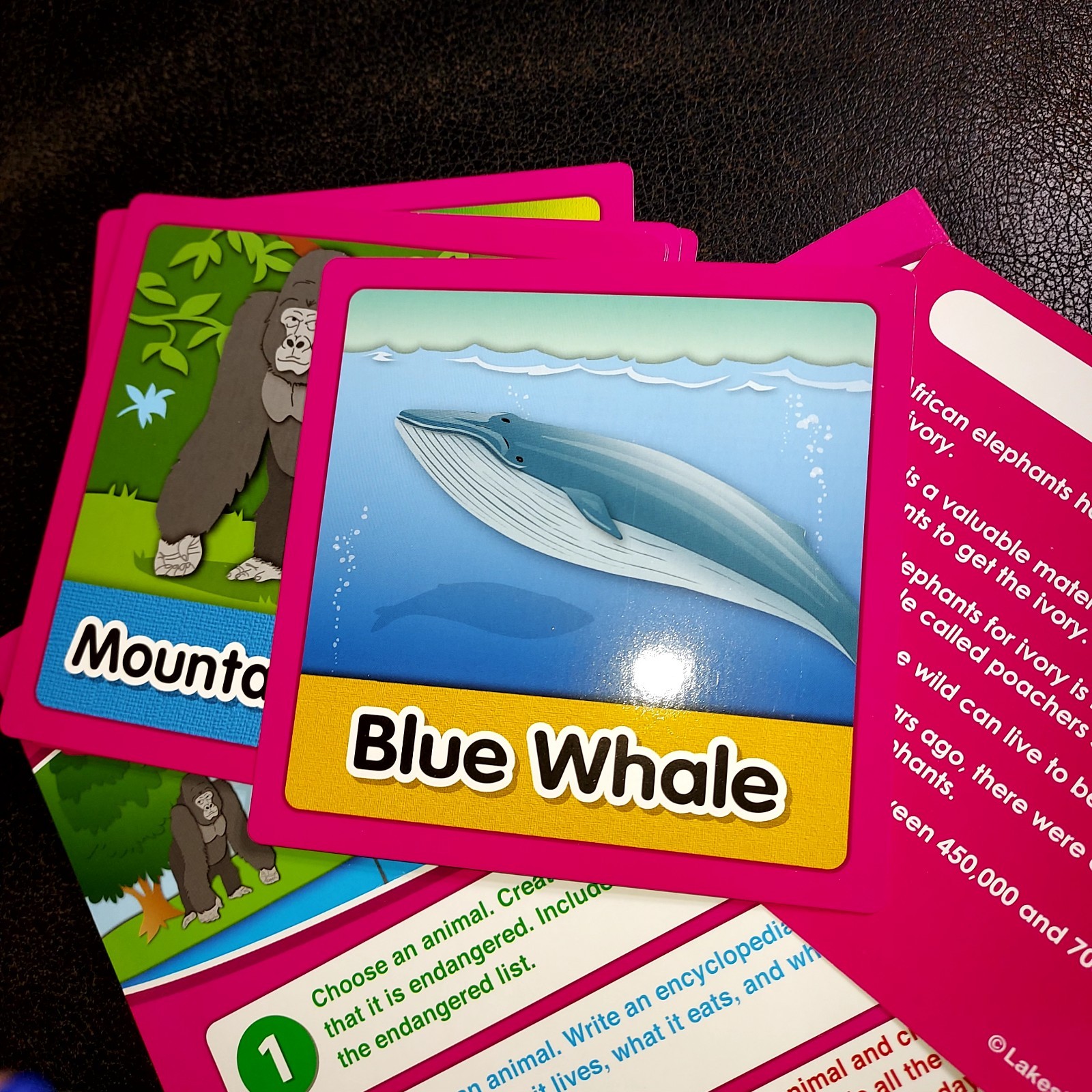 Lakeshores Ready to Write Activity Pockets Grades 4-5 Projects Homeschool ext.