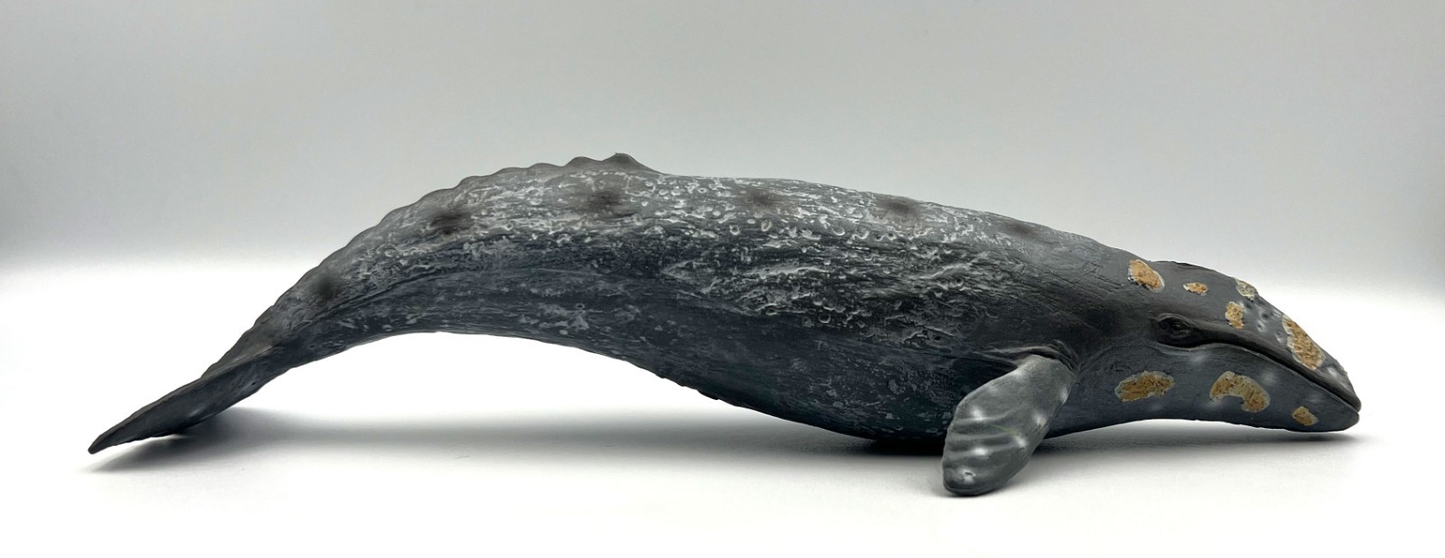 Mojo Grey Whale Figure 2018 Portugal Grauwal 10.5″