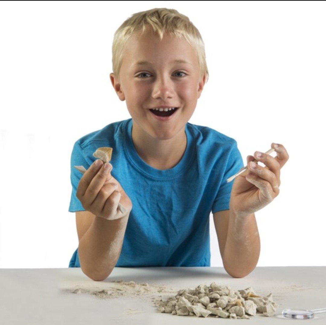 National Geographic Shark Tooth Dig Kit Science Set for Children 8 Years and up