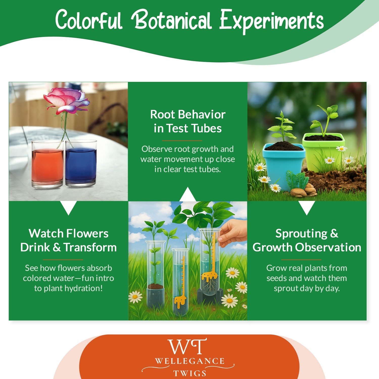 Plant Science Kit for Kids Ages 8-12 | STEM Educational Gift with 19 Experiments