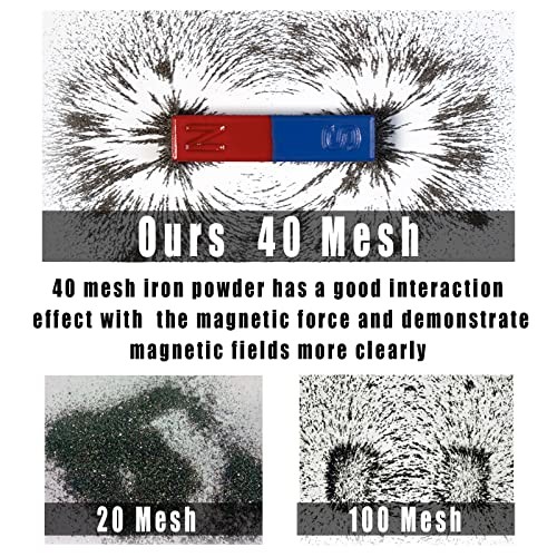 DAILYLIFE Iron Filings 1 LB Bulk Powder with 4 Magnets for Science Experiments
