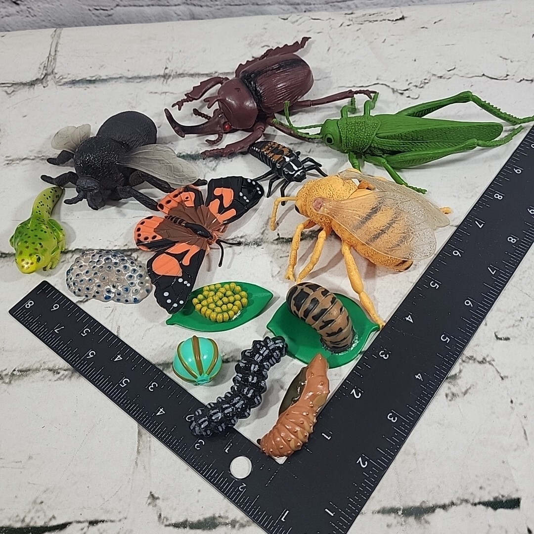 Jumbo Bugs Insects Figures Caterpillar Fly Tadpole Frog Eggs Science Nature Lot