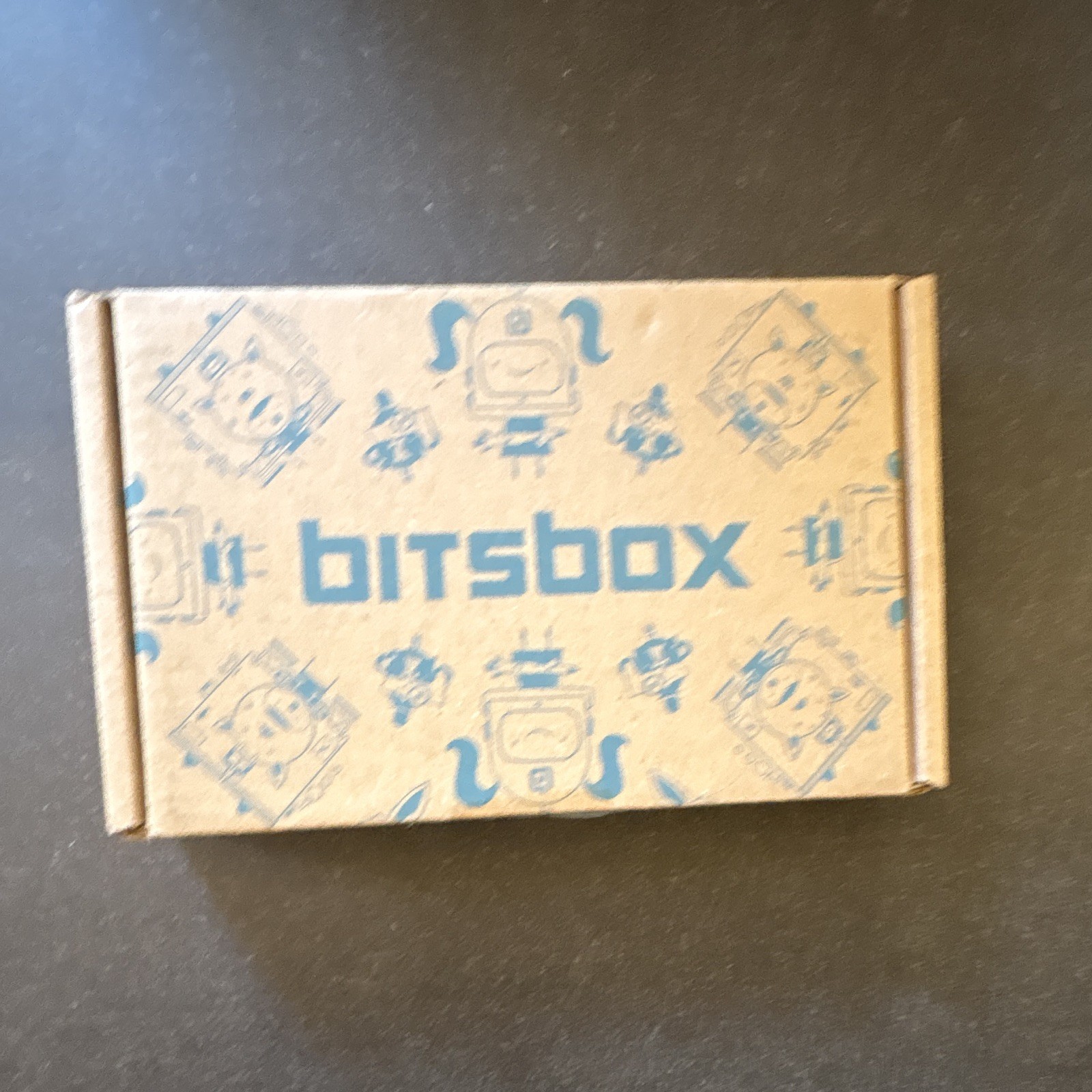 Bitsbox Shoo Fly Electronic Learning System Educational Kit in Bitsbox Box