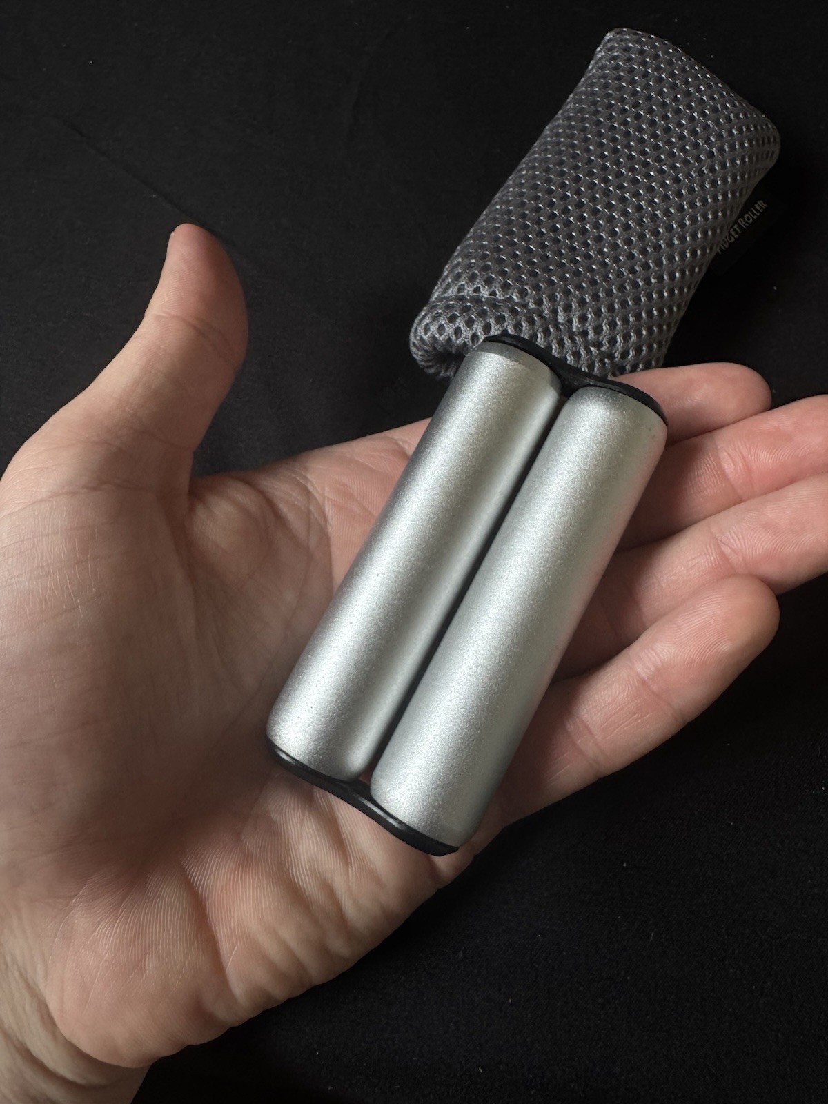 Fidget Roller – Tactile Sensory Toy – Silver – With Carrying Case