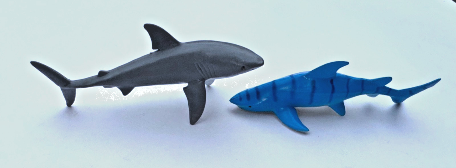 Ocean Animal Figure Lot – 22 Sharks + Dolphin + Beluga Whale– Toy Set