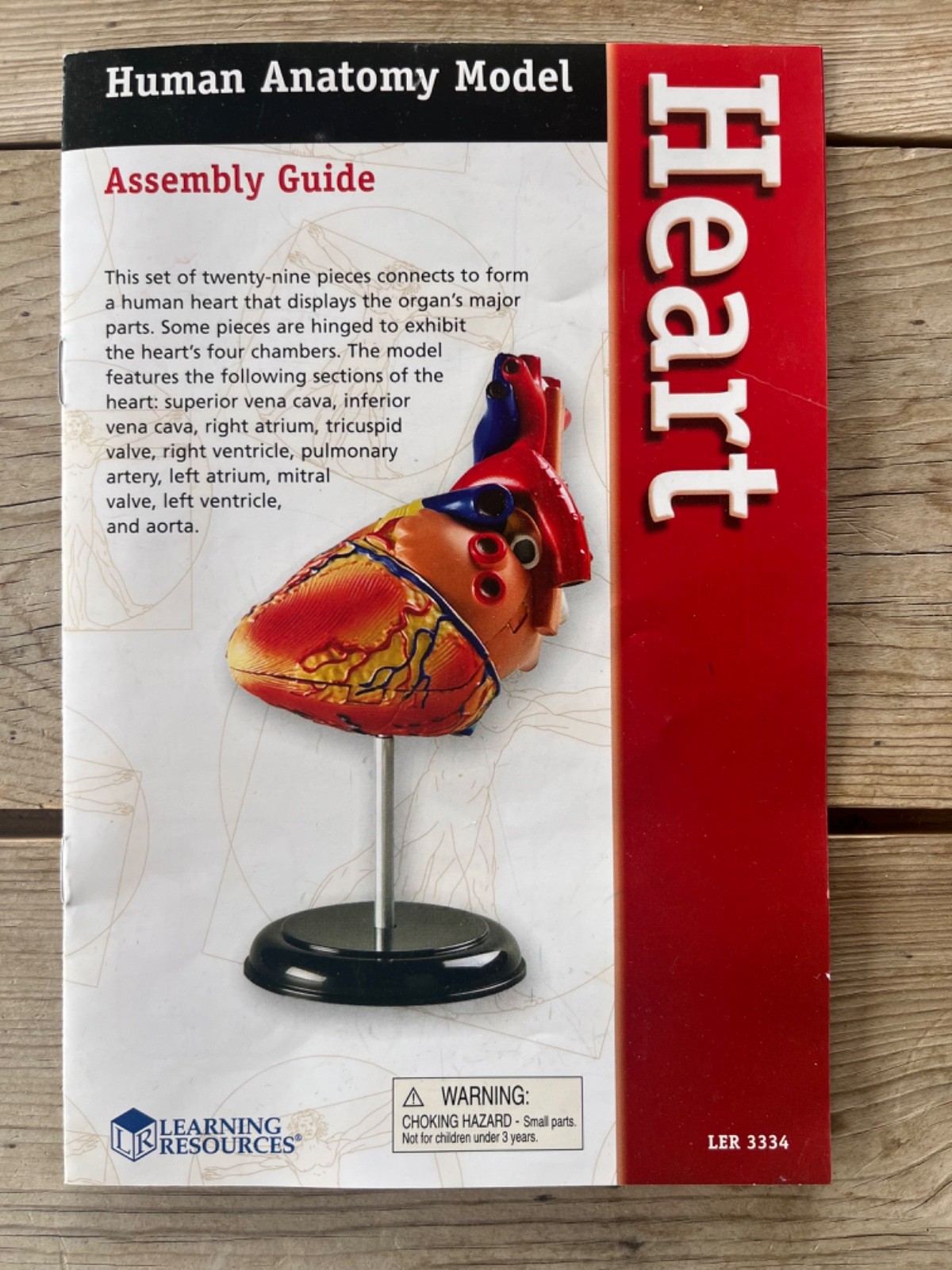 Human Anatomy Model Heart 29 Pieces Ages 8+ Learning Resources Assembly Guide