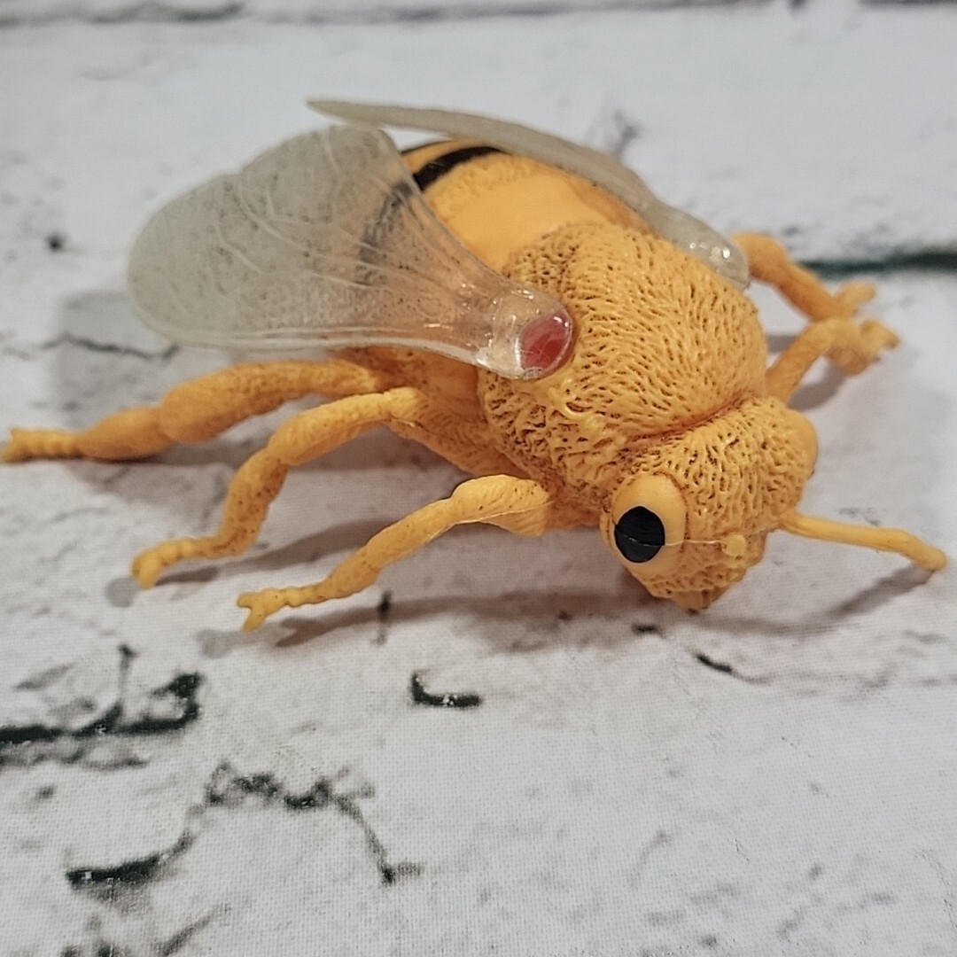Jumbo Bugs Insects Figures Caterpillar Fly Tadpole Frog Eggs Science Nature Lot