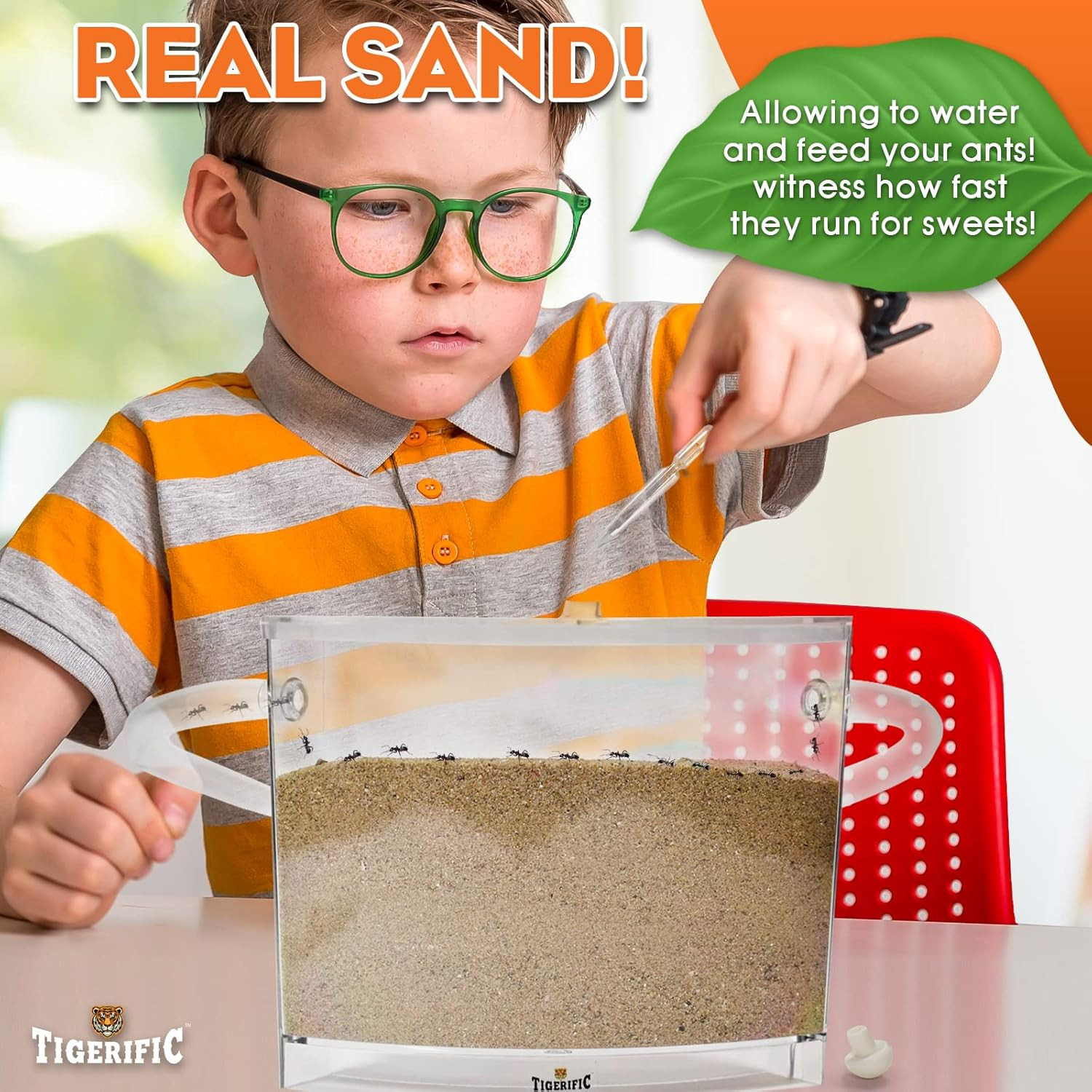 Ant Farm for Live Ants – Real Sand Ant Colony Kit for Kids -Fun Science Habitat