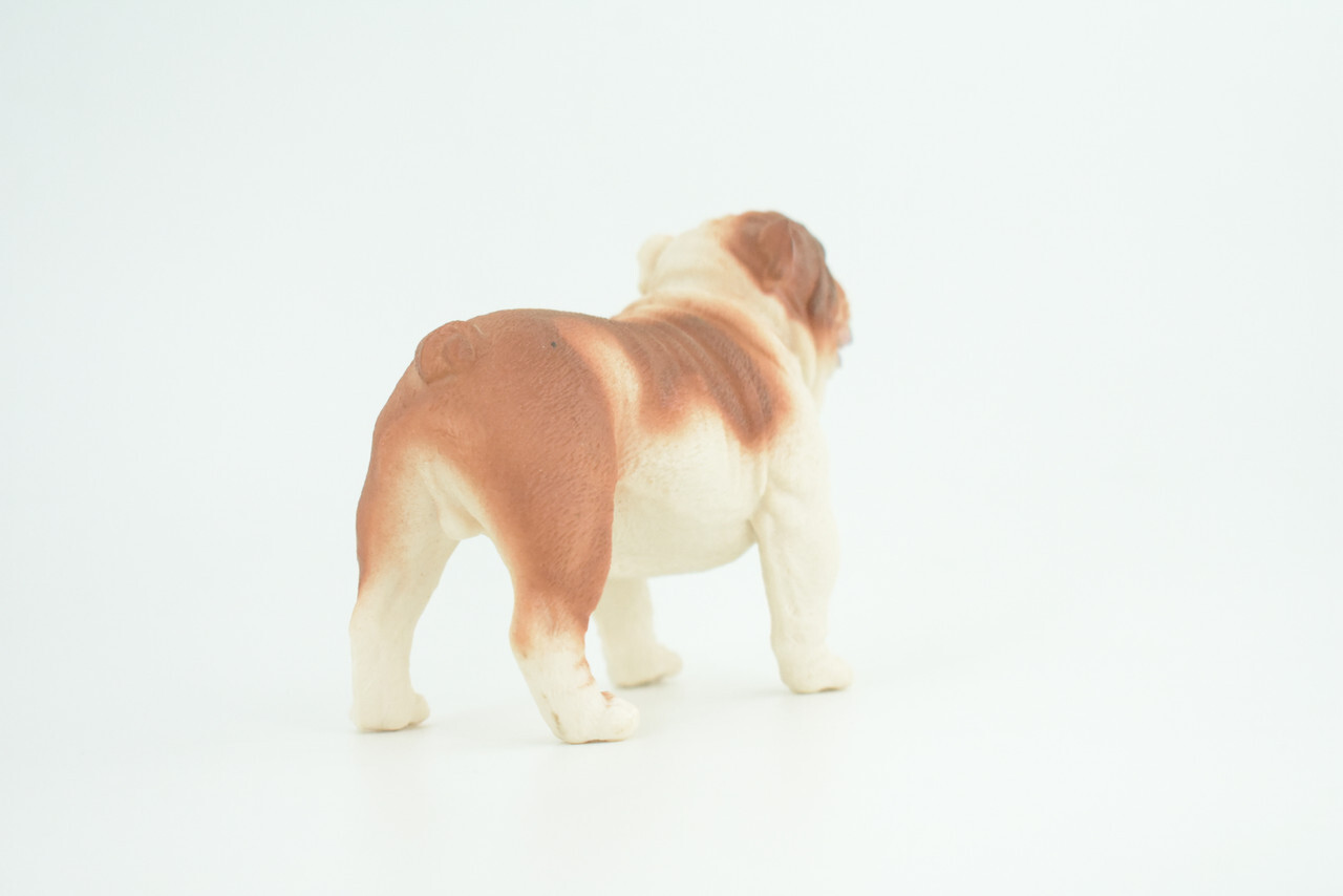 English Bulldog Toy, Realistic Hand Painted Rubber Model, 5 Inches CH844 BB197