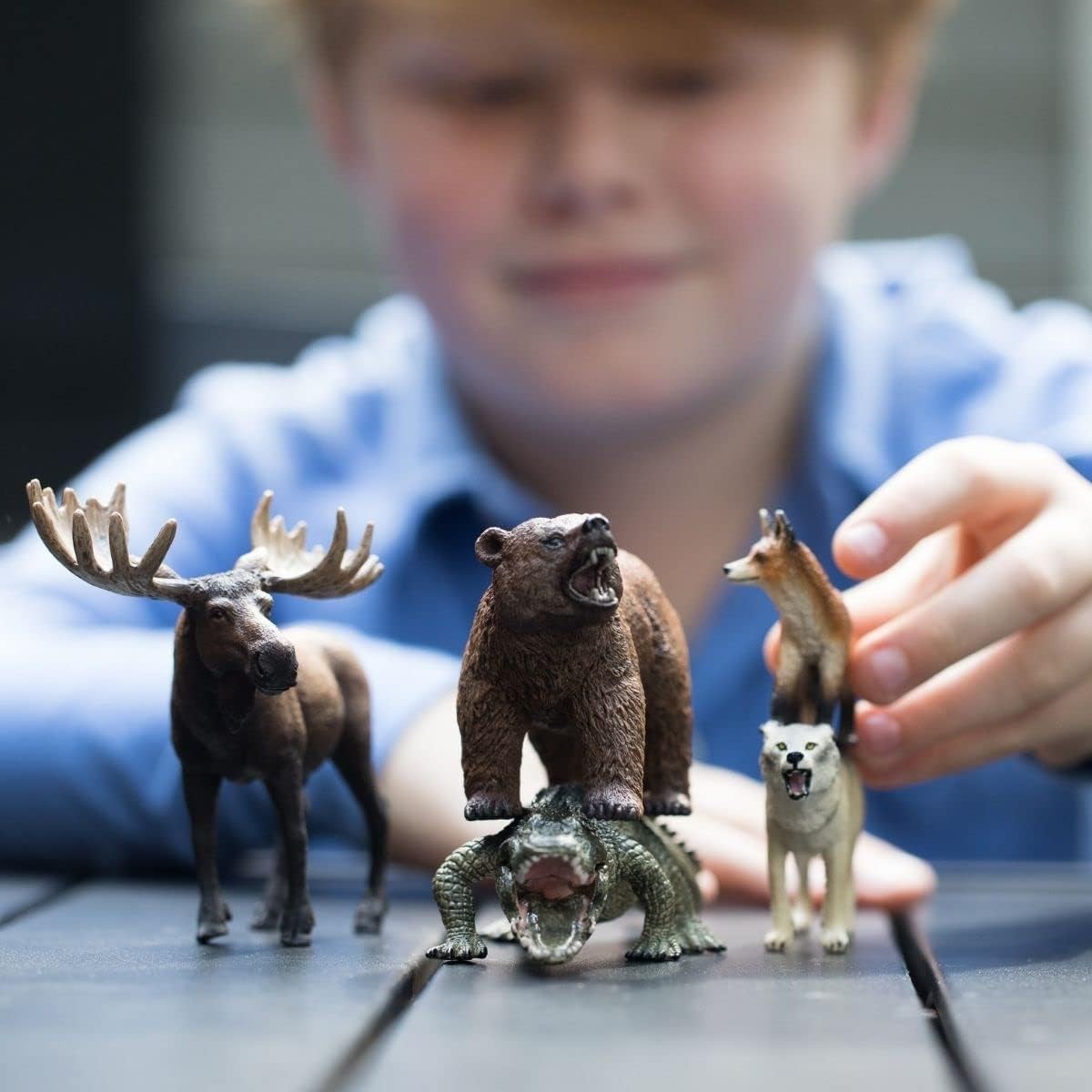 Schleich Wild Life – 5PC North American Animal 5 Piece Assortment, Multi