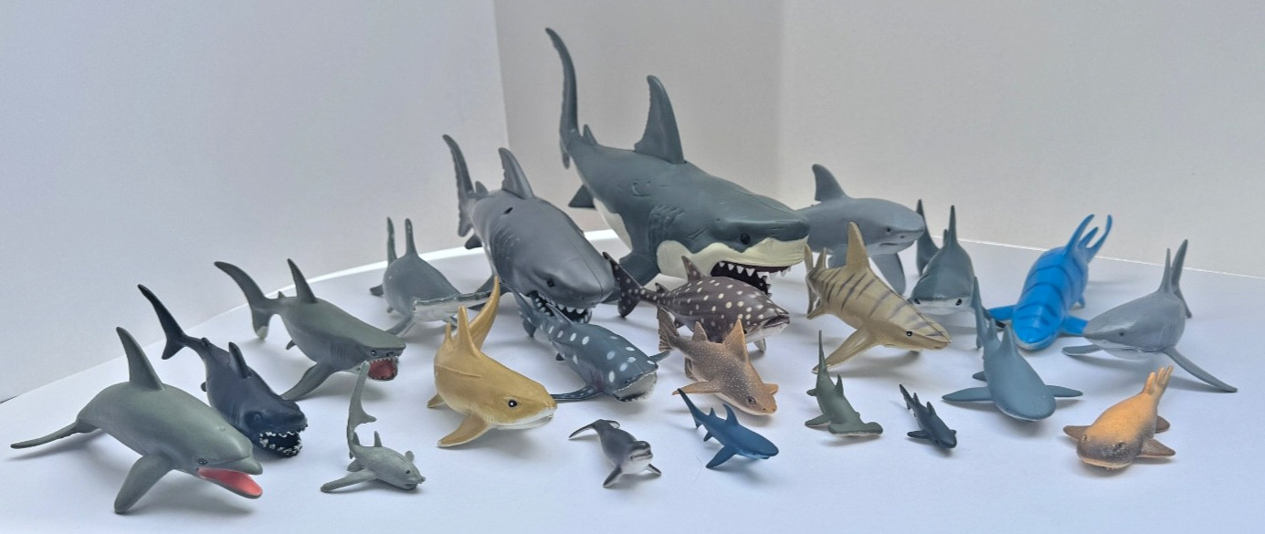 Ocean Animal Figure Lot – 22 Sharks + Dolphin + Beluga Whale– Toy Set