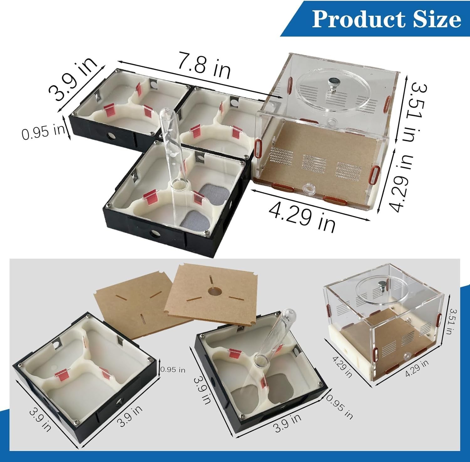 Ant Farm Nest Science DIY Terrarium Kit Care for Live Ants Ant Habitat with Wate