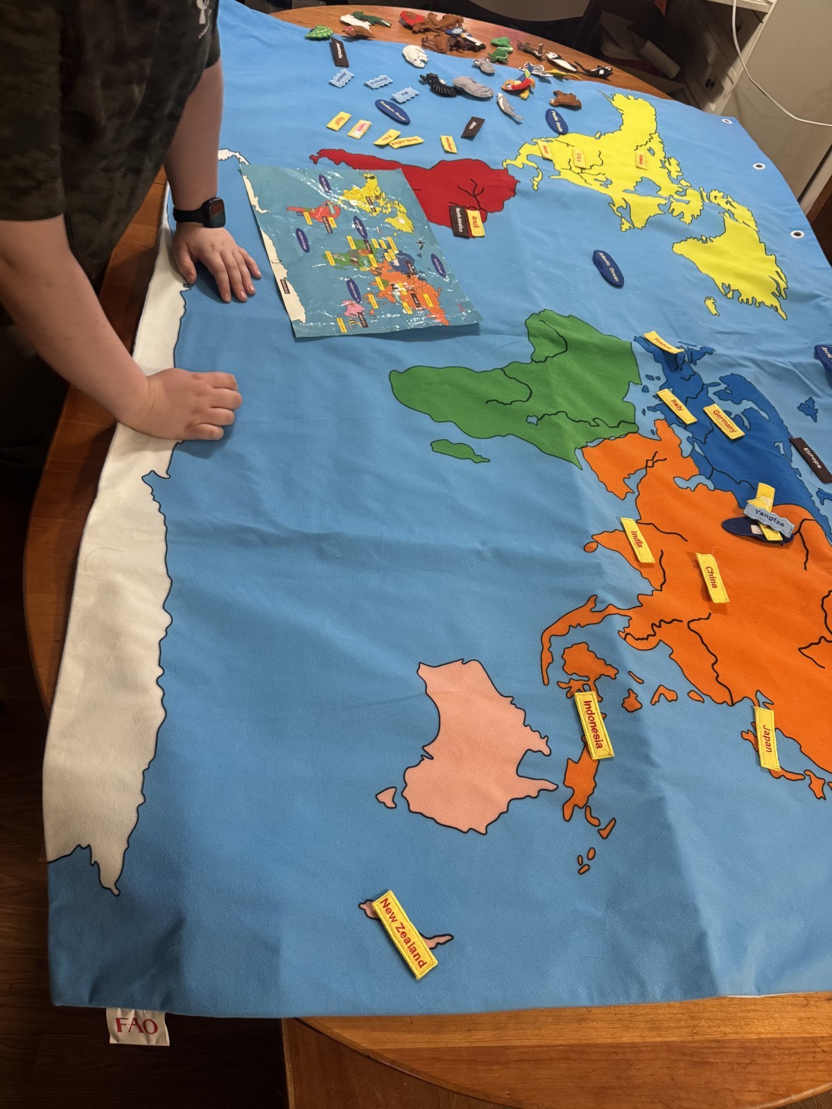 FAO Schwarz Educational 47″ x 71″ The Big Map Discover the Big Wide World