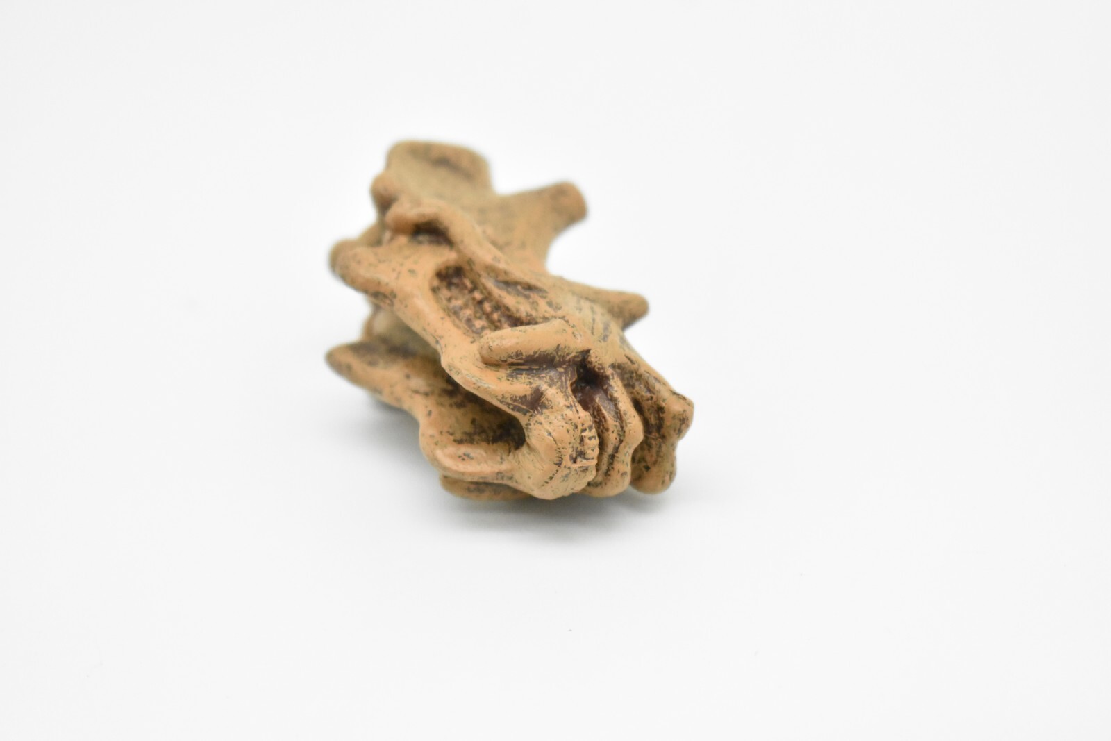 Uintatherium, Fossil Skull Toy, Realistic Plastic Reproduction 2″ F3523 B204