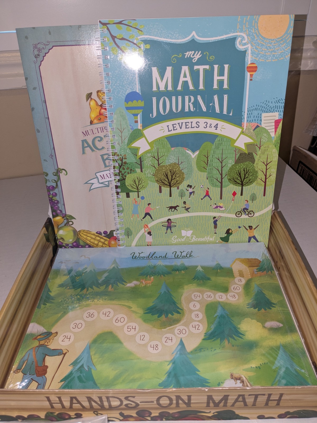 Math Activity Box Levels 3 & 4 Good And The Beautiful Curriculum Manipulatives