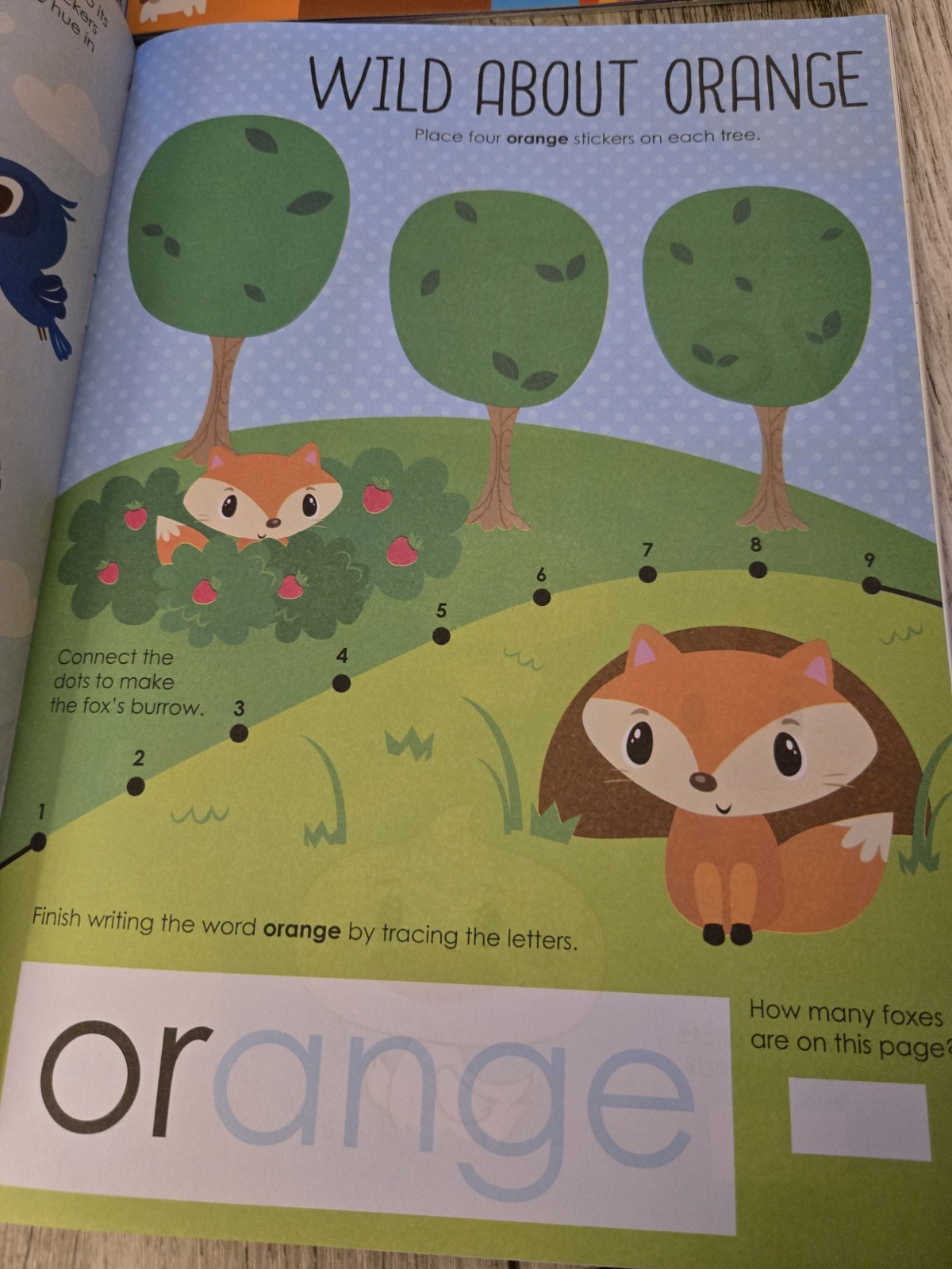 Learning Activity Books – PreK/K – 12 Pages Each Plus Over 80 Stickers