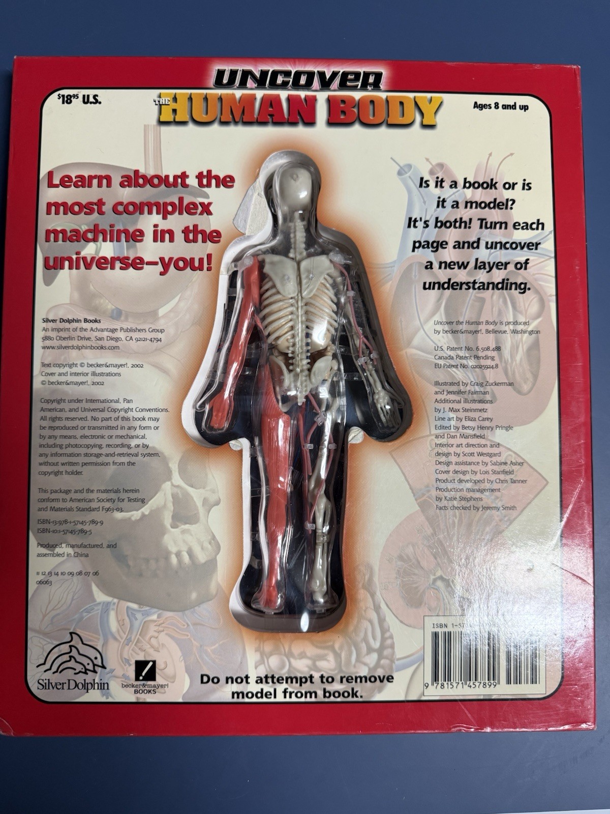 Silver Dolphin Uncover Human Body 3D Model Book by Luann Colombo