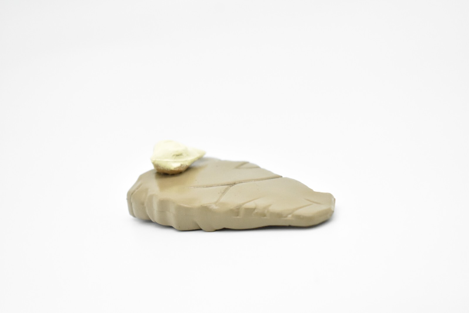 Skull on Slab of Mud, Fossil, Realistic Plastic Toy Model 2 1/2″ F4460 B222