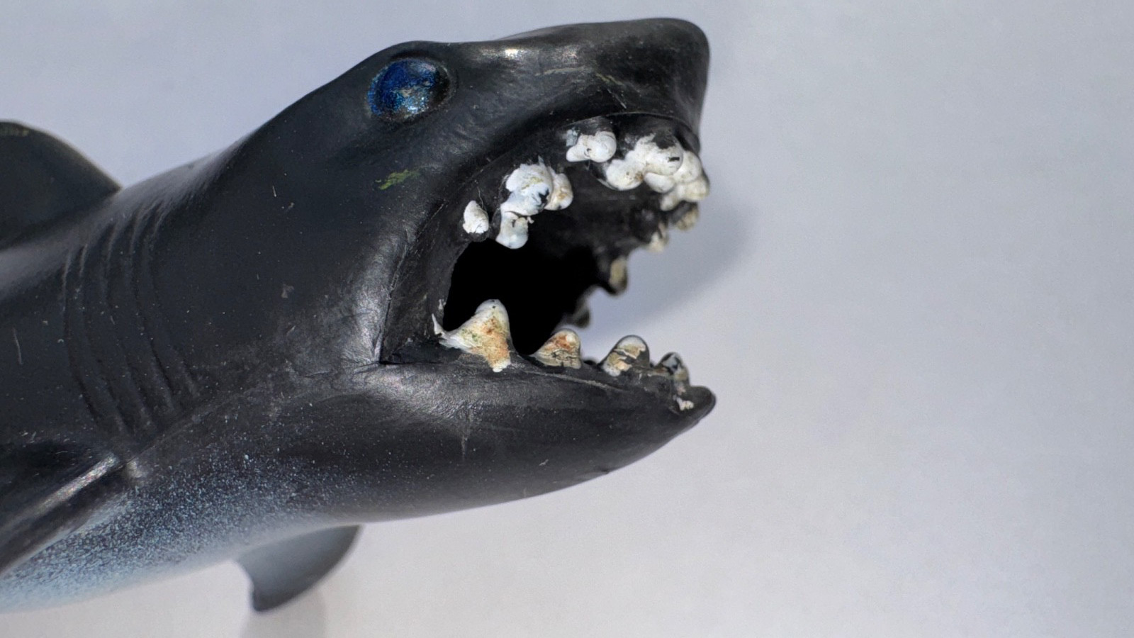 Ocean Animal Figure Lot – 22 Sharks + Dolphin + Beluga Whale– Toy Set