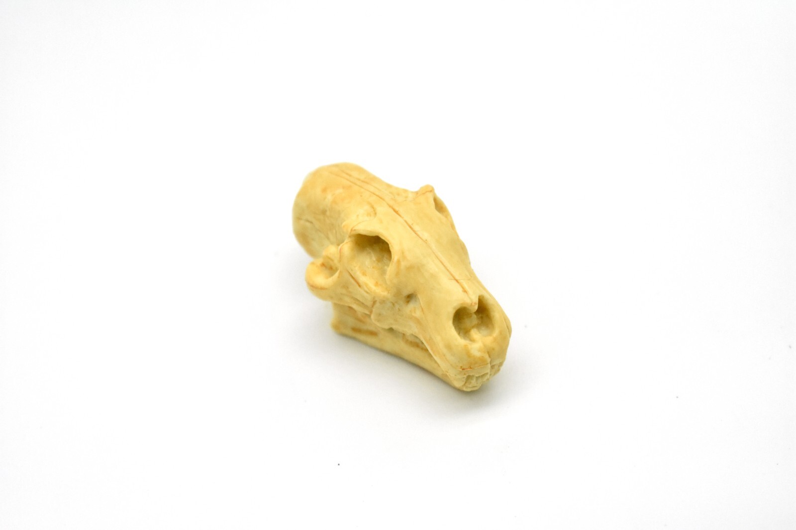 Lion Skull, Very Nice Plastic Reproduction 1 7/8 inches long F4124 B193
