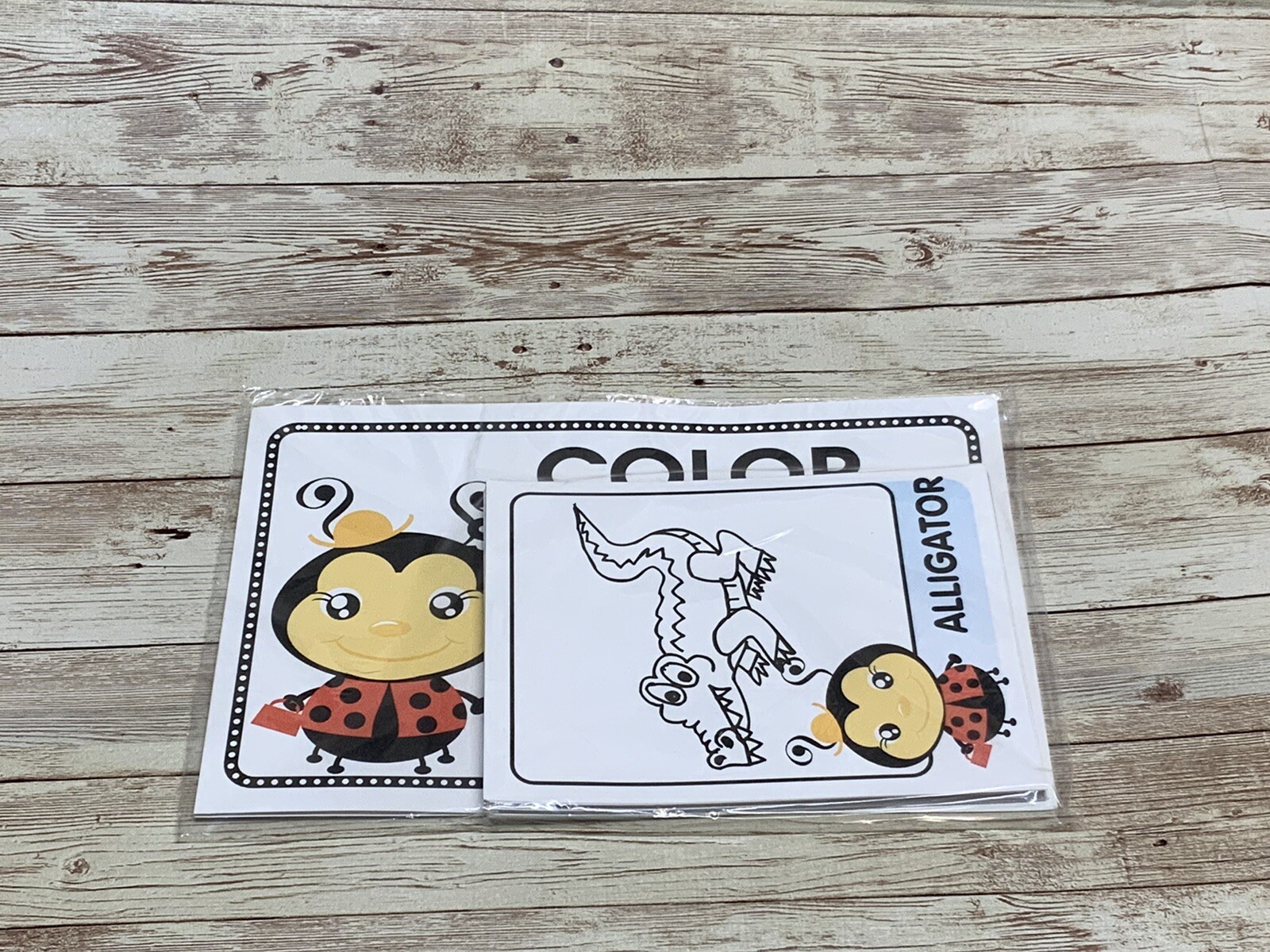 Lady Bug – Themed Learning Centers – Laminated Color Match