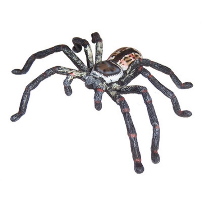 Four Toy Australian animals : Scorpion, Red-backed, Funnel-Web, Huntsman Spider