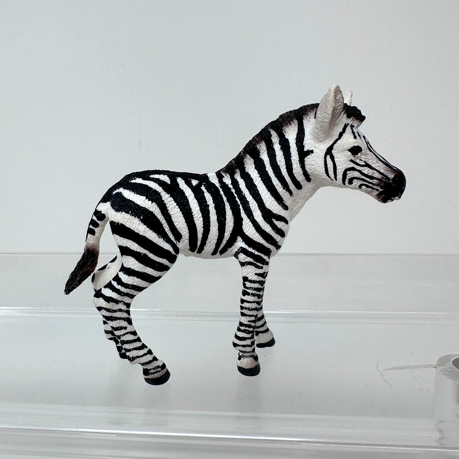 Schleich Zebra Foal Figure Black White Striped Baby Horse Animal Figurine 3″