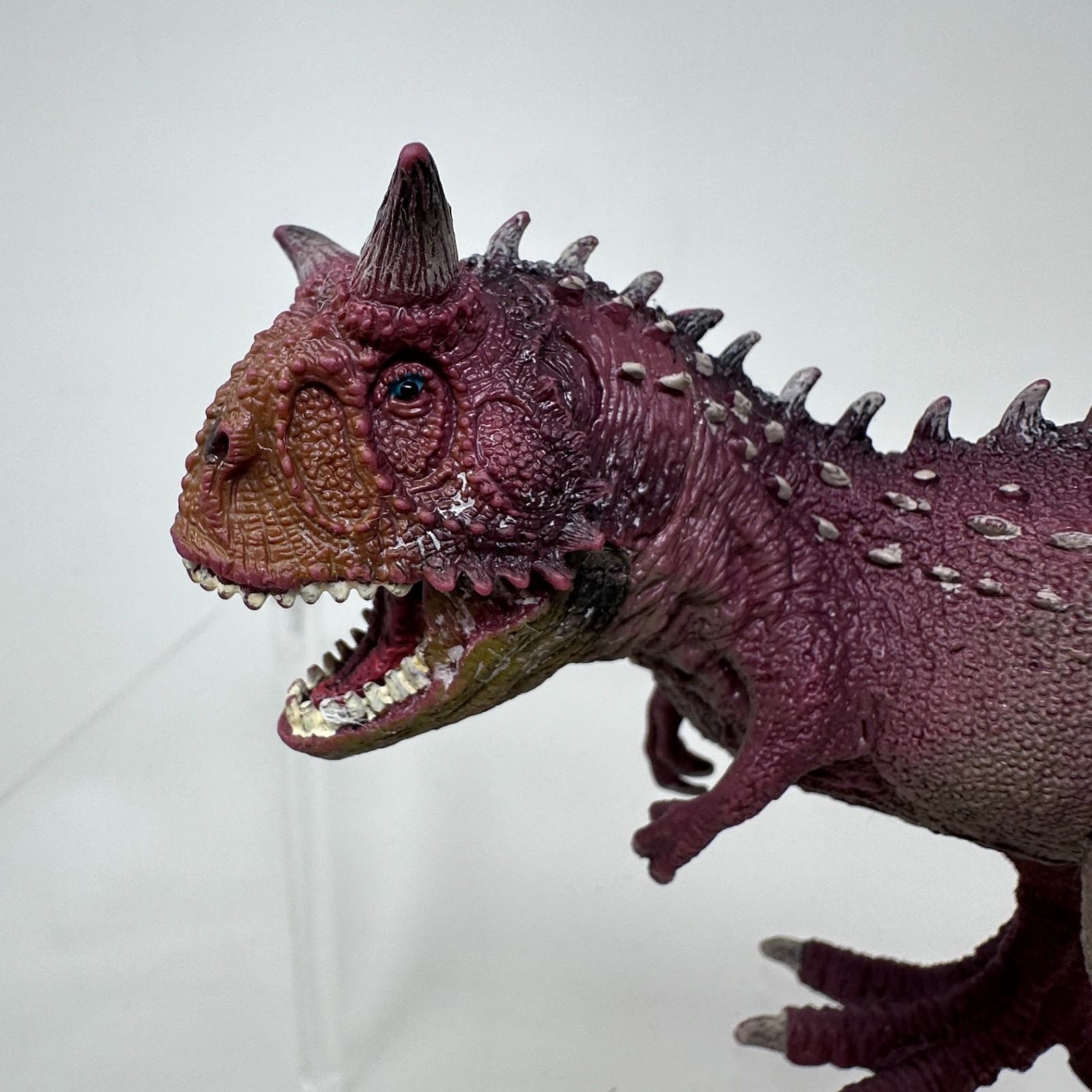 Schleich Carnotaurus Figure Red Prehistoric Dinosaur Animal Figurine 2012 READ