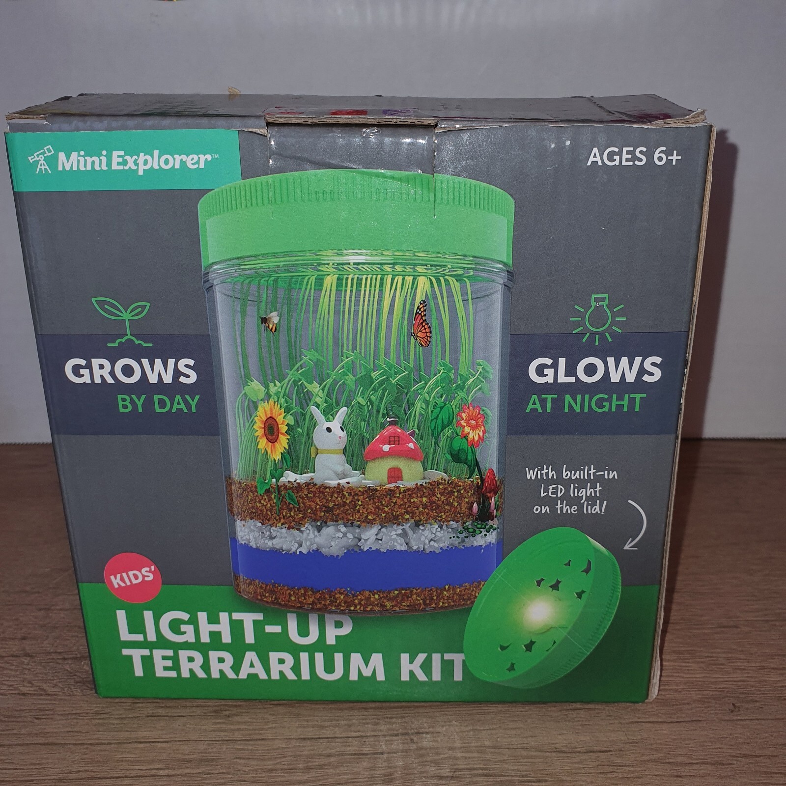 Light-Up Terrarium Kit for Kids – STEM Science Kits – Birthday Gifts for Kids…