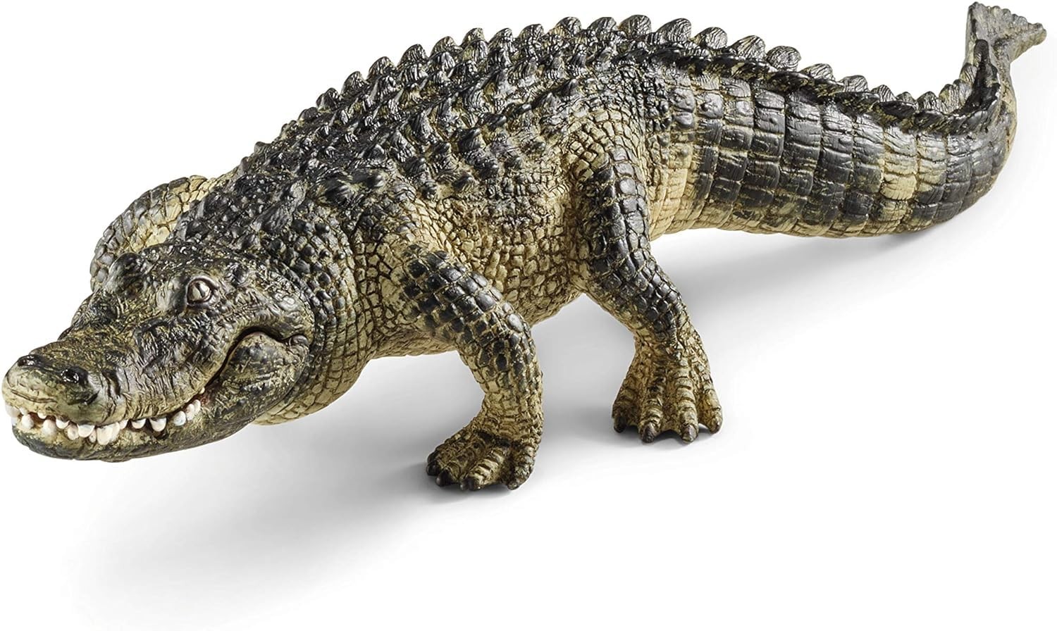 Schleich Wild Life – 5PC North American Animal 5 Piece Assortment, Multi