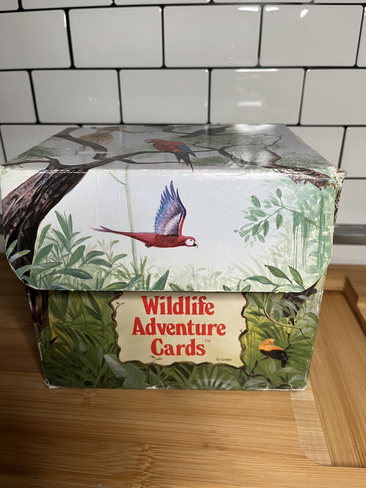 Vintage Grolier Wildlife Adventure Cards Boxed Education Homeschool Science 1995