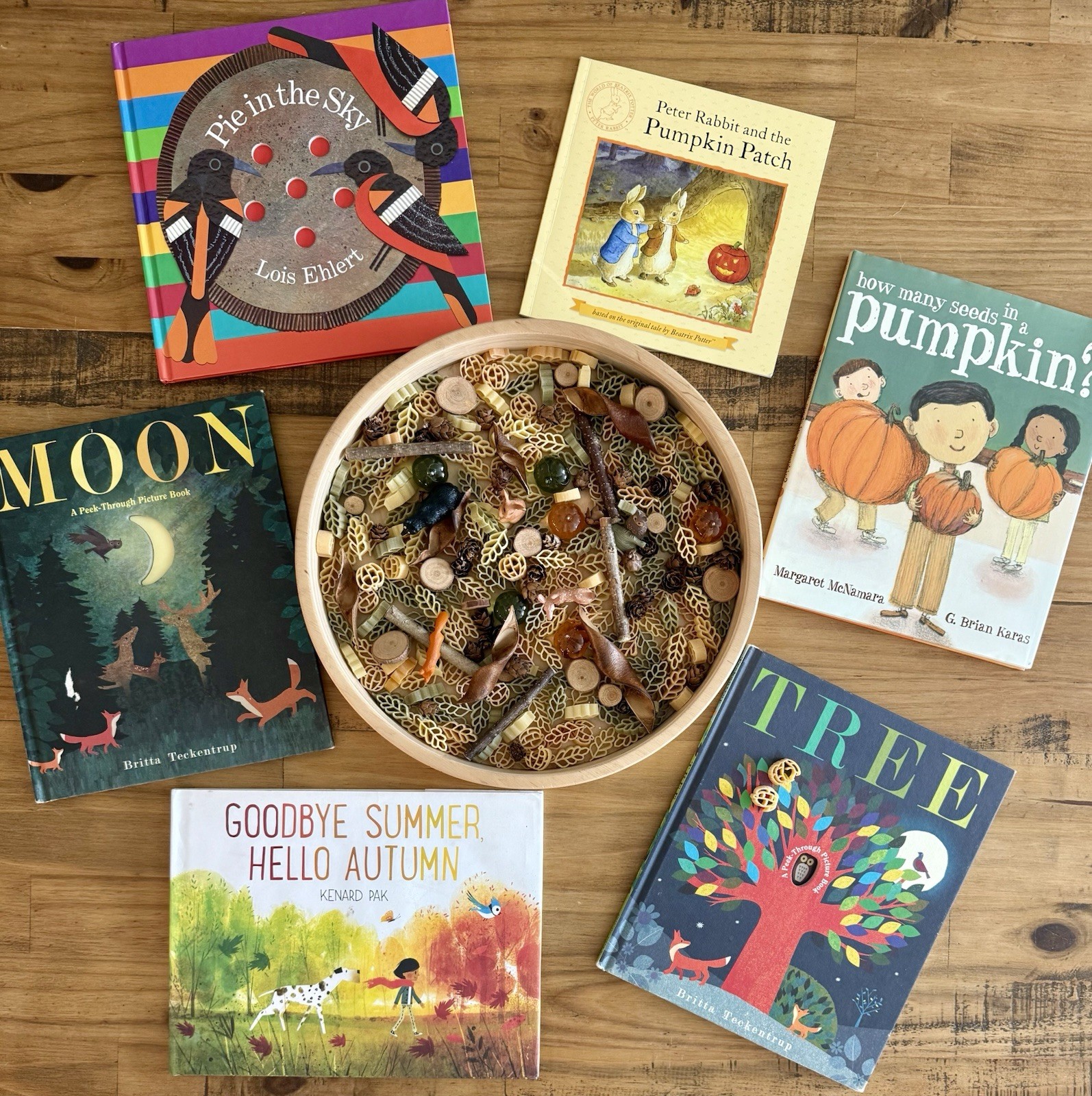 Autumn Fall Picture Book Sensory Bin Kit for Kids Bookish Play Imaginative Play