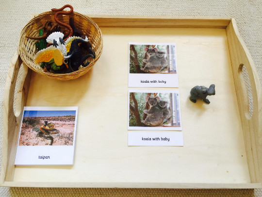 Montessori Knowing Australia 3 Parts Cards with Miniatures